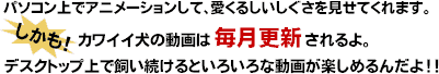 磻ư衣